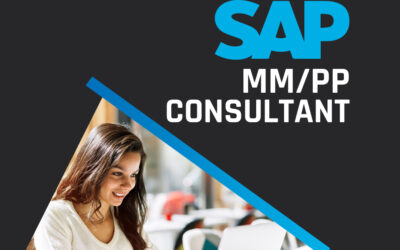 SAP-MM/PP – CONSULTANT – GESTÃO DE MATERIAIS E PRODUÇÃO
