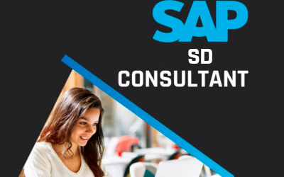SAP-SD – CONSULTANT – GESTÃO DE LOGÍSTICA E VENDAS