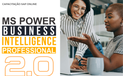 MS POWER BI PROFESSIONAL 2.0